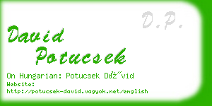 david potucsek business card